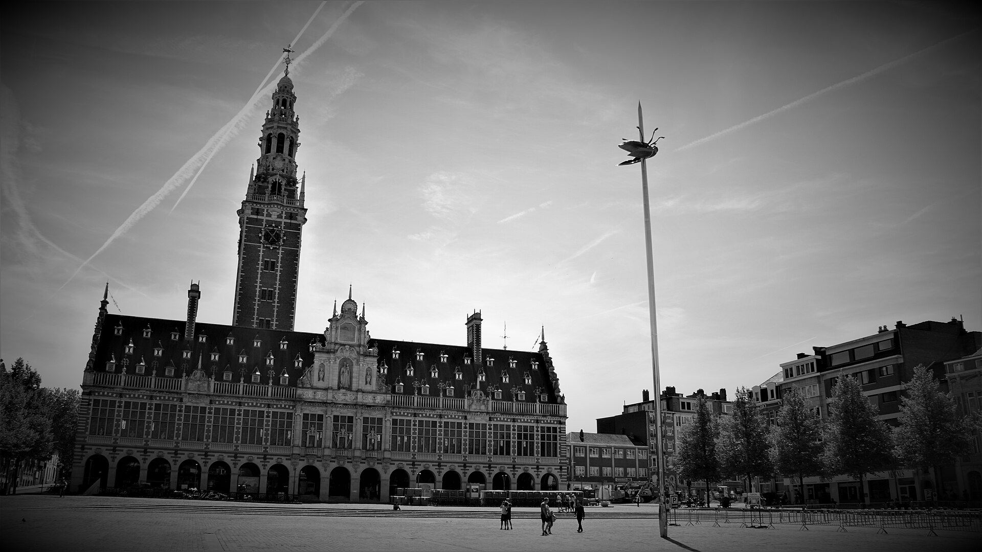 Leuven IT services illustration